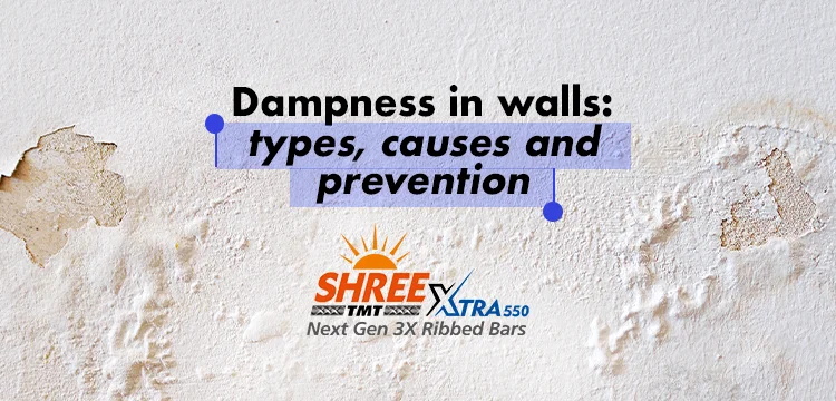 Dampness in Walls
