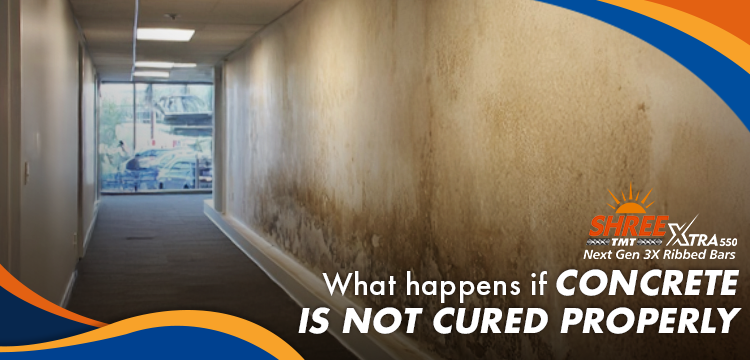 Understanding the Critical Importance of Proper Concrete Curing